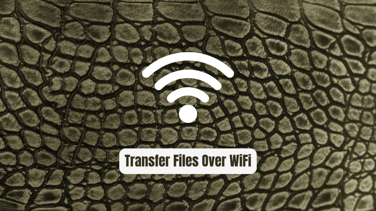 Transfer Files Over WiFi Without Internet – 2024's Fastest, Safest Methods